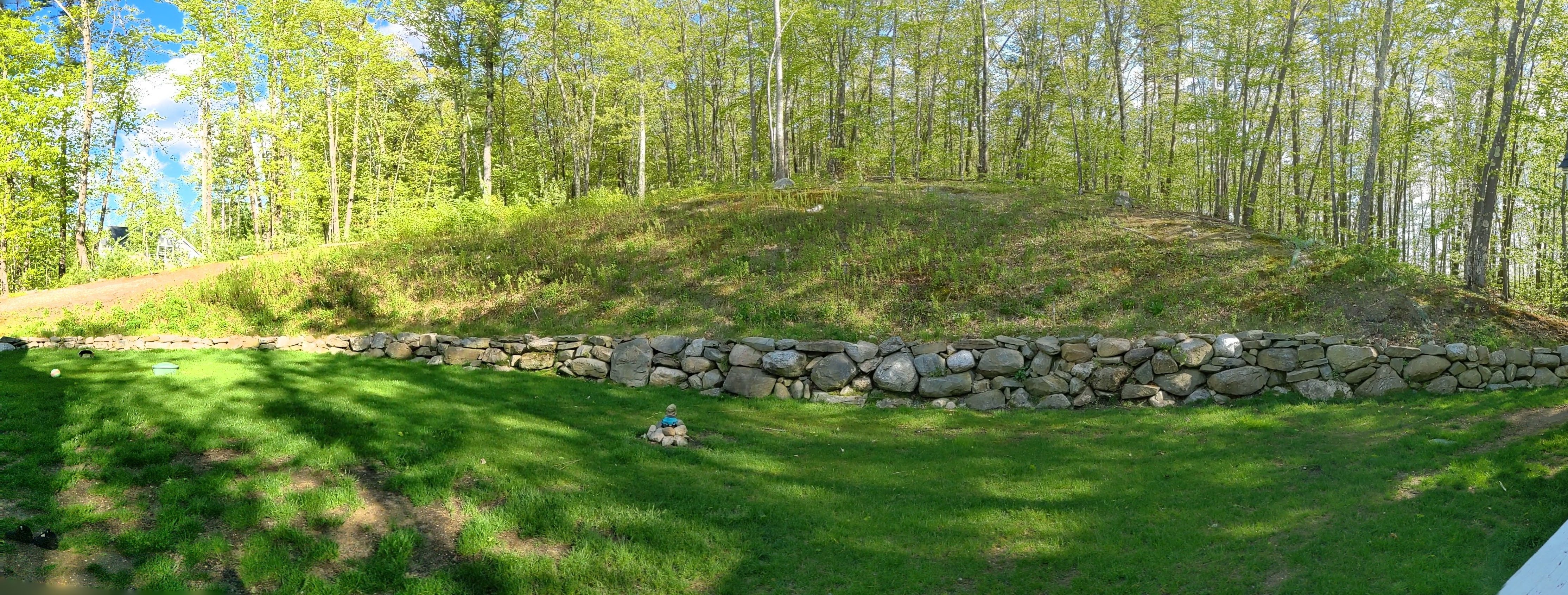 Panoramic view of the lush, green backyard before work began