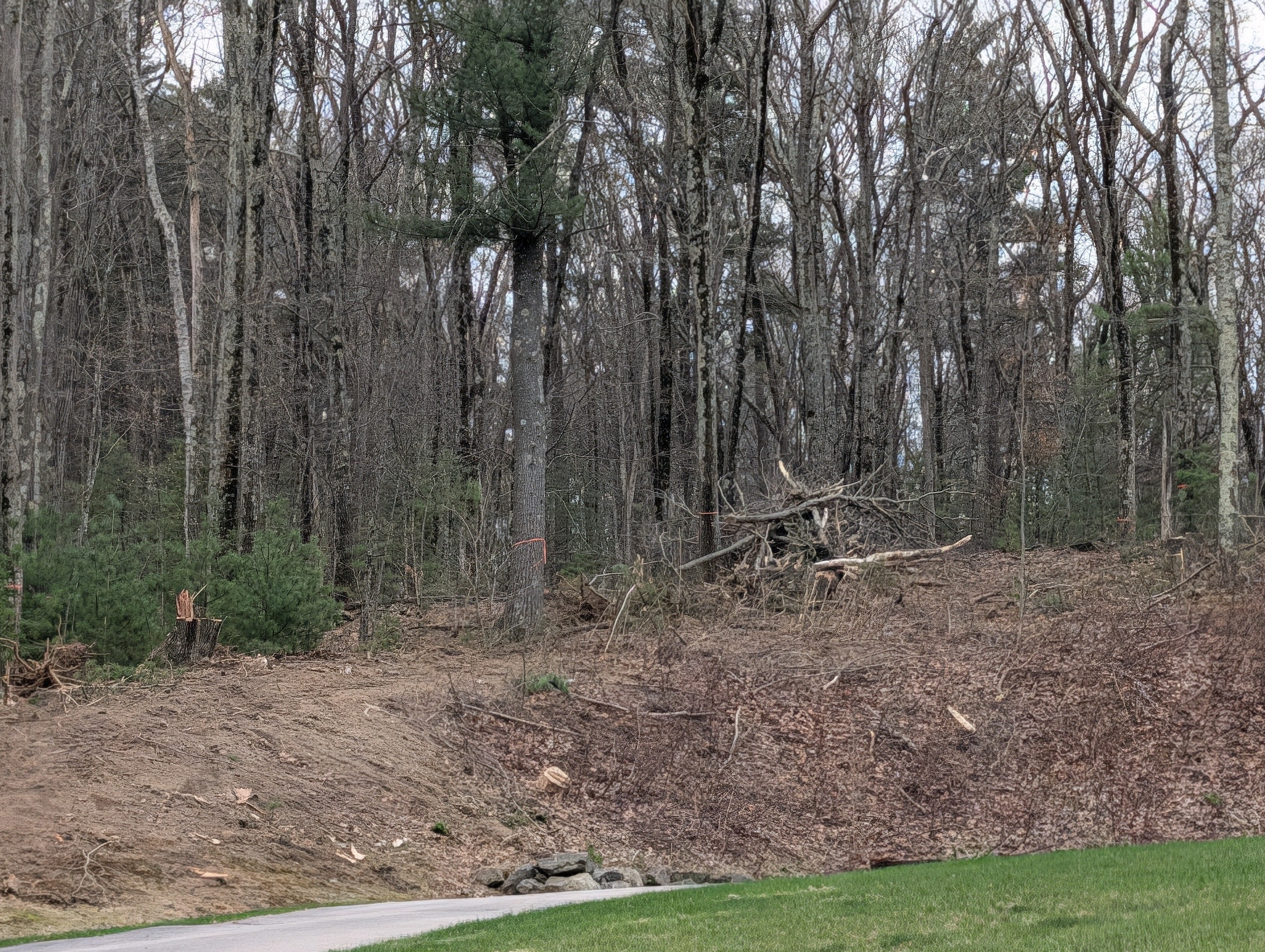 Abandoned materials and debris pile